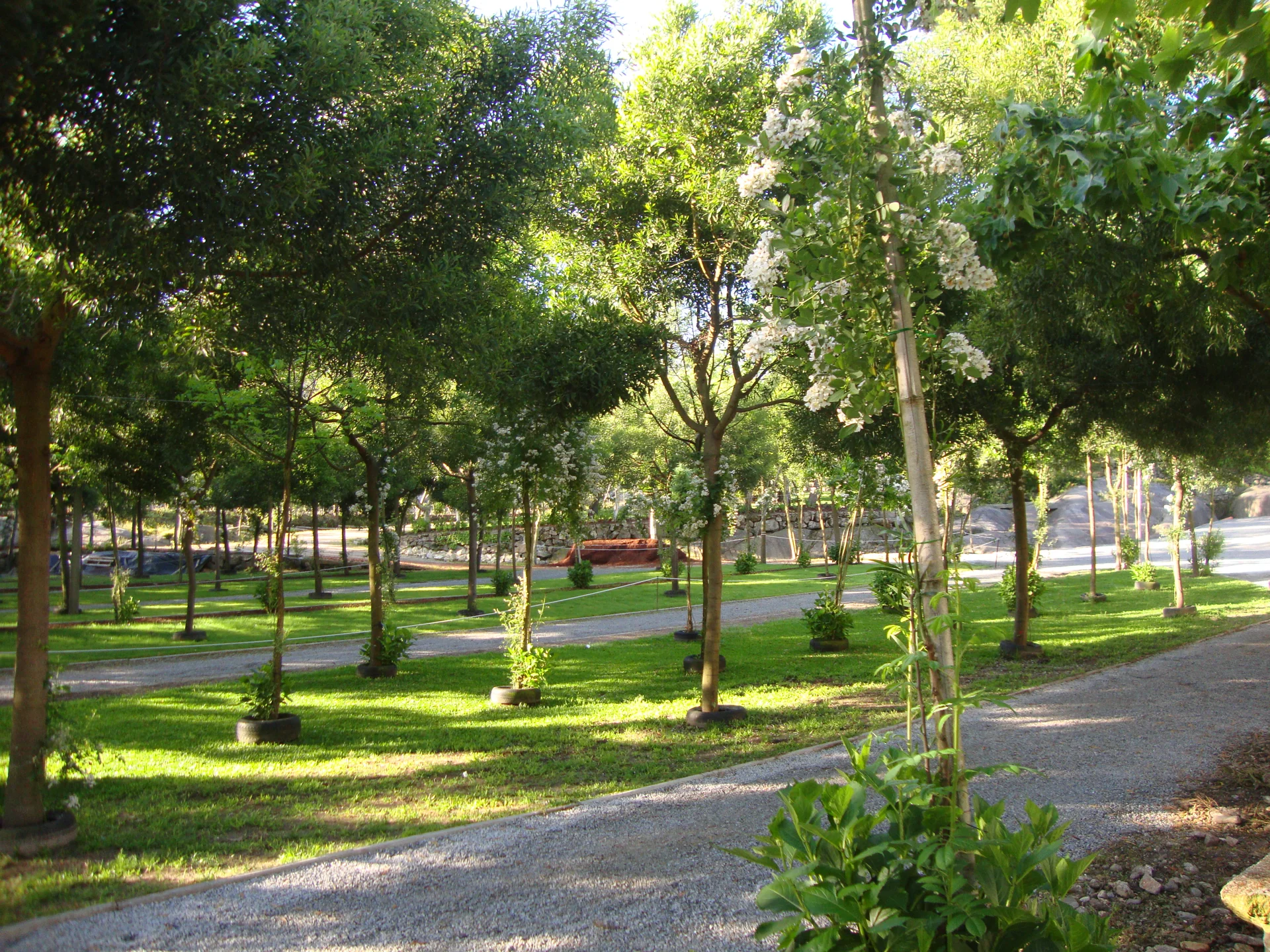 Jardins arborizados e caminho exterior da Quinta da Granja