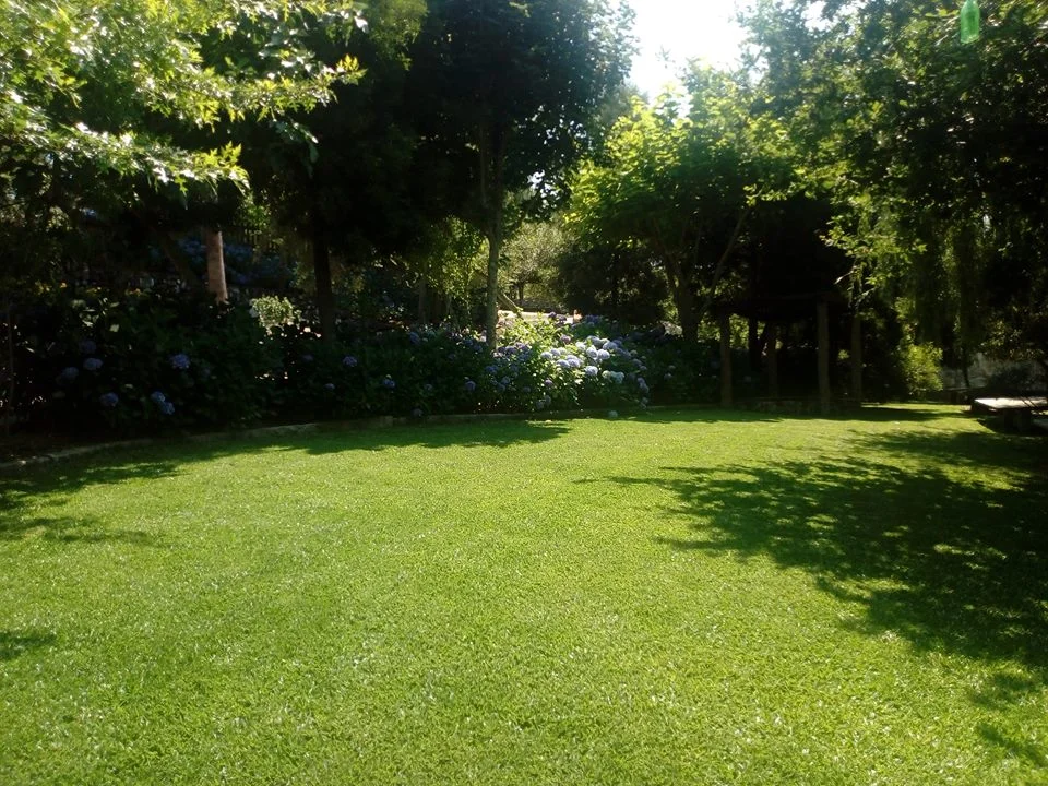 Relvado dos jardins da Quinta rodeado por árvores